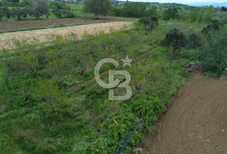ÇANAKKALE BAYRAMİÇ AHMETÇELİ KÖYÜNDE SATILIK MEYVE BAHÇESİ - 3 - 348707