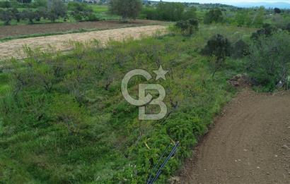 ÇANAKKALE BAYRAMİÇ AHMETÇELİ KÖYÜNDE SATILIK MEYVE BAHÇESİ