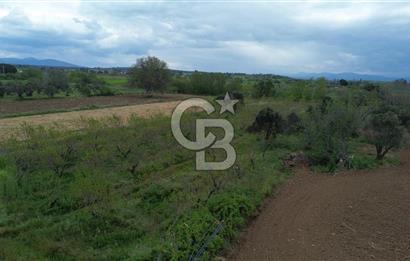 ÇANAKKALE BAYRAMİÇ AHMETÇELİ KÖYÜNDE SATILIK MEYVE BAHÇESİ