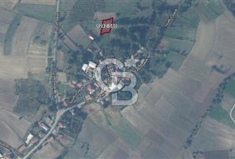 SAKARYA KAYNARCA İLÇESİ KONUT İMARLI 977 M2 SATILIK ARSA - 2 - 348733