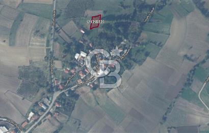 SAKARYA KAYNARCA İLÇESİ KONUT İMARLI 977 M2 SATILIK ARSA