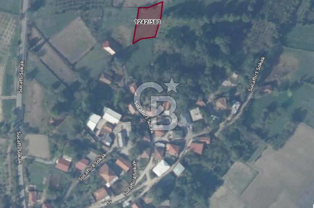 SAKARYA KAYNARCA İLÇESİ KONUT İMARLI 977 M2 SATILIK ARSA