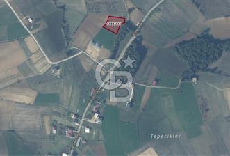 SAKARYA KAYNARCA İLÇESİ 2.319 M2 YATIRIMLIK TARLA  - 1 - 348735