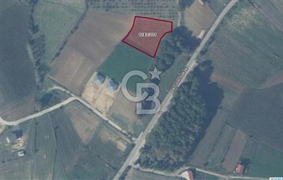 SAKARYA KAYNARCA İLÇESİ 2.319 M2 YATIRIMLIK TARLA 