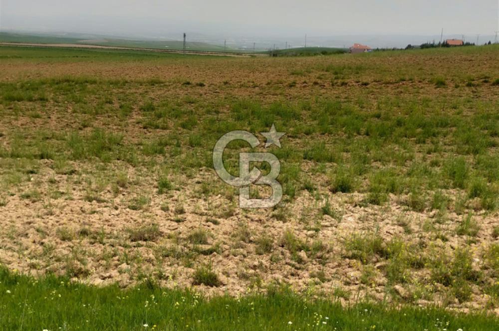 Polatlı Gedikli 6 Dönüm Villa Arsası 4 Villa İzni Altyapı Var