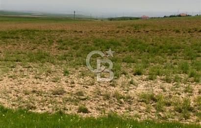 Polatlı Gedikli 6 Dönüm Villa Arsası 4 Villa İzni Altyapı Var