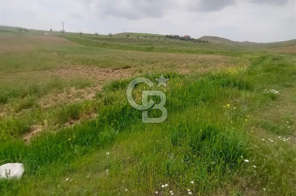 Polatlı Gedikli 6 Dönüm Villa Arsası 4 Villa İzni Altyapı Var