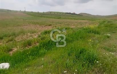 Polatlı Gedikli 6 Dönüm Villa Arsası 4 Villa İzni Altyapı Var