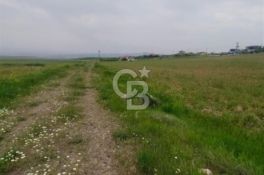 Polatlı Gedikli 6 Dönüm Villa Arsası 4 Villa İzni Altyapı Var