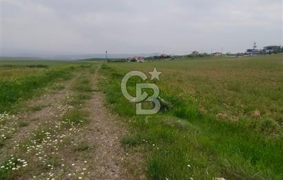 Polatlı Gedikli 6 Dönüm Villa Arsası 4 Villa İzni Altyapı Var