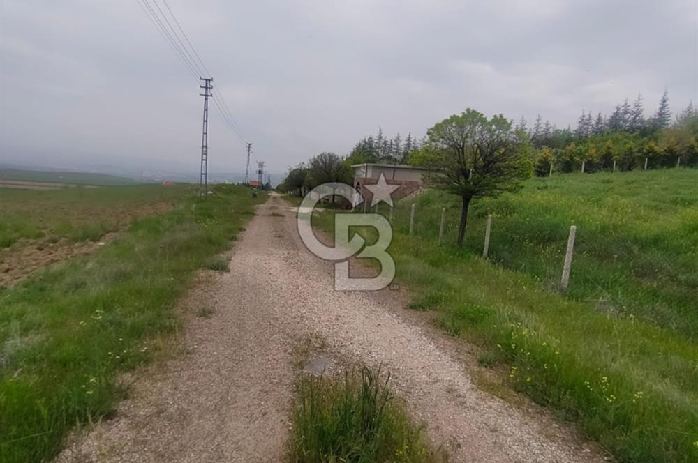 Polatlı Gedikli 6 Dönüm Villa Arsası 4 Villa İzni Altyapı Var
