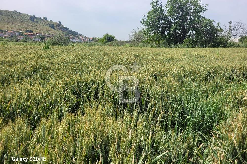 Menemen Türkelli'de Lojistik Tesislere Yakın Satılık Tarla