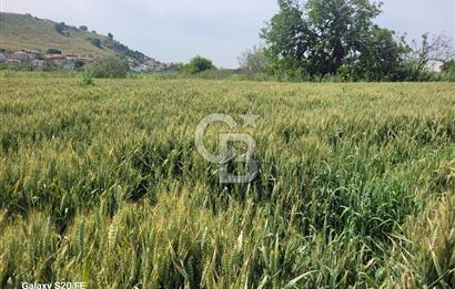 Menemen Türkelli'de Lojistik Tesislere Yakın Satılık Tarla