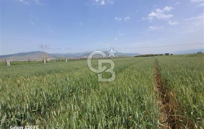 Menemen Türkelli'de Asfalt Yola Sıfır Stratejik Yatırım Fırsatı