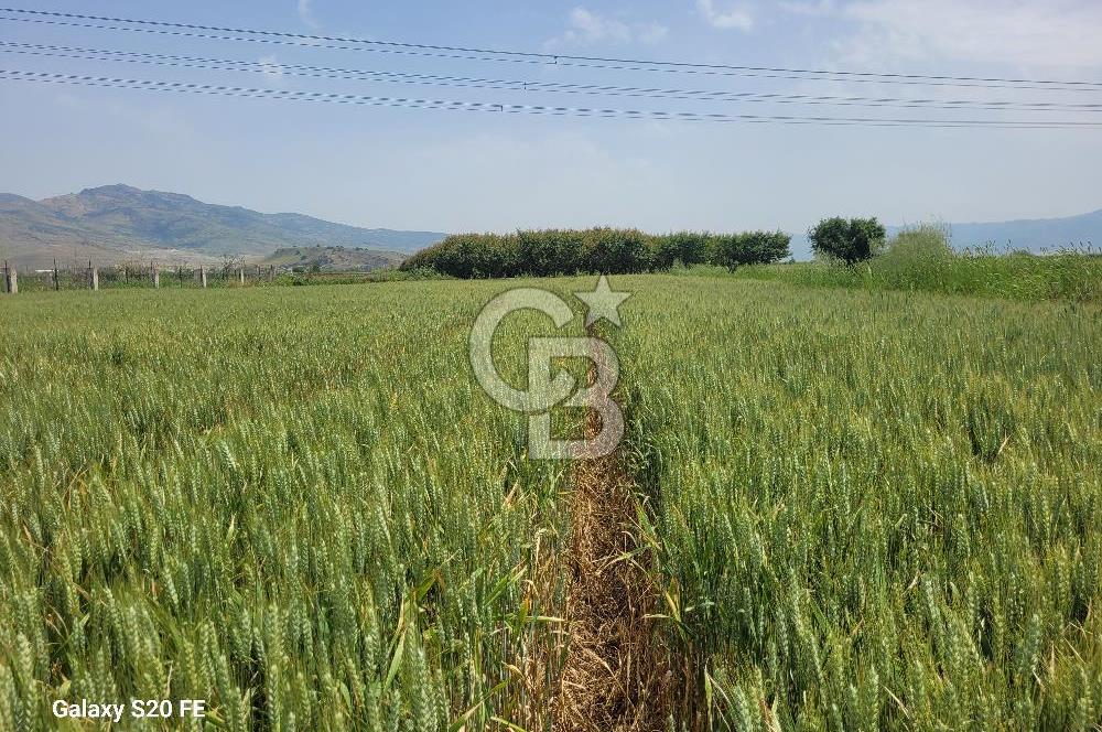 Menemen Türkelli'de Asfalt Yola Sıfır Stratejik Yatırım Fırsatı