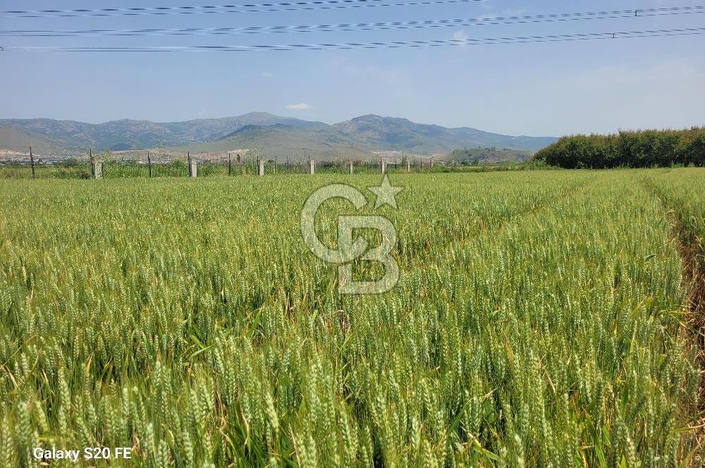 Menemen Türkelli'de Asfalt Yola Sıfır Stratejik Yatırım Fırsatı