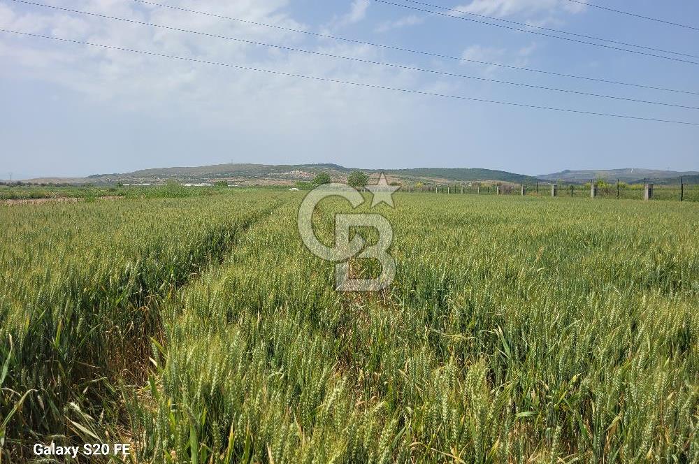 Menemen Türkelli'de Asfalt Yola Sıfır Stratejik Yatırım Fırsatı