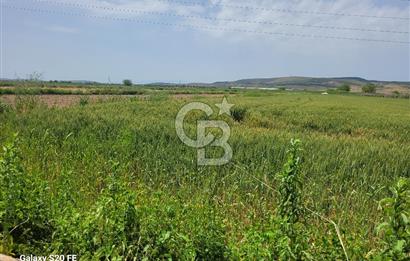 Menemen Türkelli'de Asfalt Yola Sıfır Stratejik Yatırım Fırsatı