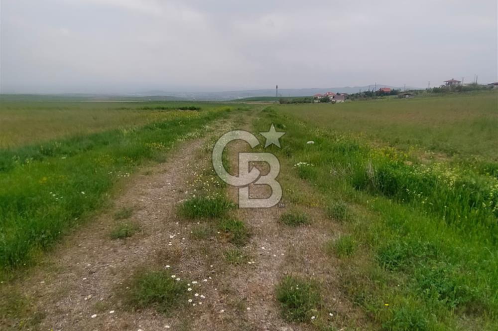 Polatlı Gedikli 6 Dönüm Villa Arsası 4 Villa İzni Altyapı Var