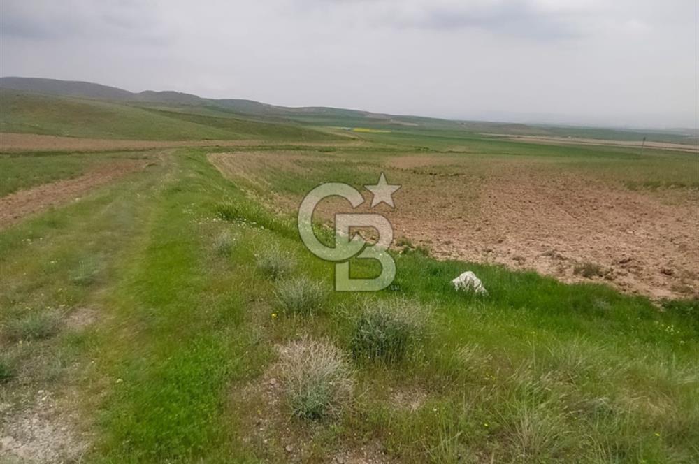 Polatlı Gedikli 6 Dönüm Villa Arsası 4 Villa İzni Altyapı Var