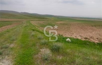 Polatlı Gedikli 6 Dönüm Villa Arsası 4 Villa İzni Altyapı Var