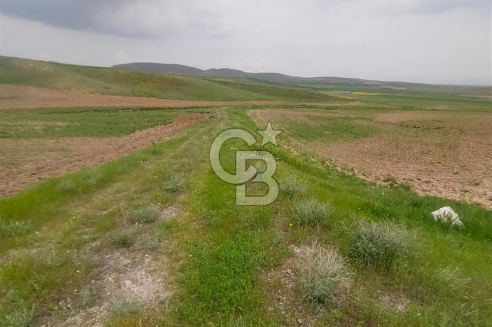 Polatlı Gedikli 6 Dönüm Villa Arsası 4 Villa İzni Altyapı Var