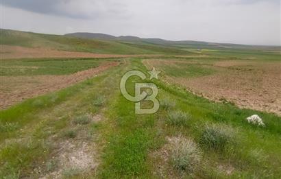 Polatlı Gedikli 6 Dönüm Villa Arsası 4 Villa İzni Altyapı Var