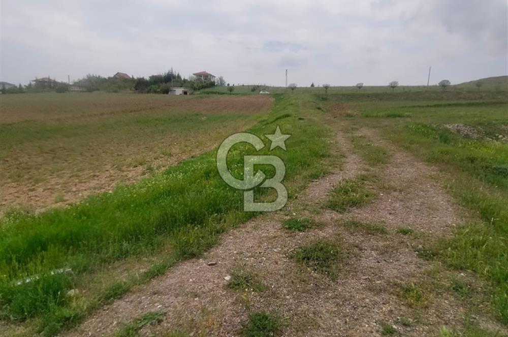 Polatlı Gedikli 6 Dönüm Villa Arsası 4 Villa İzni Altyapı Var