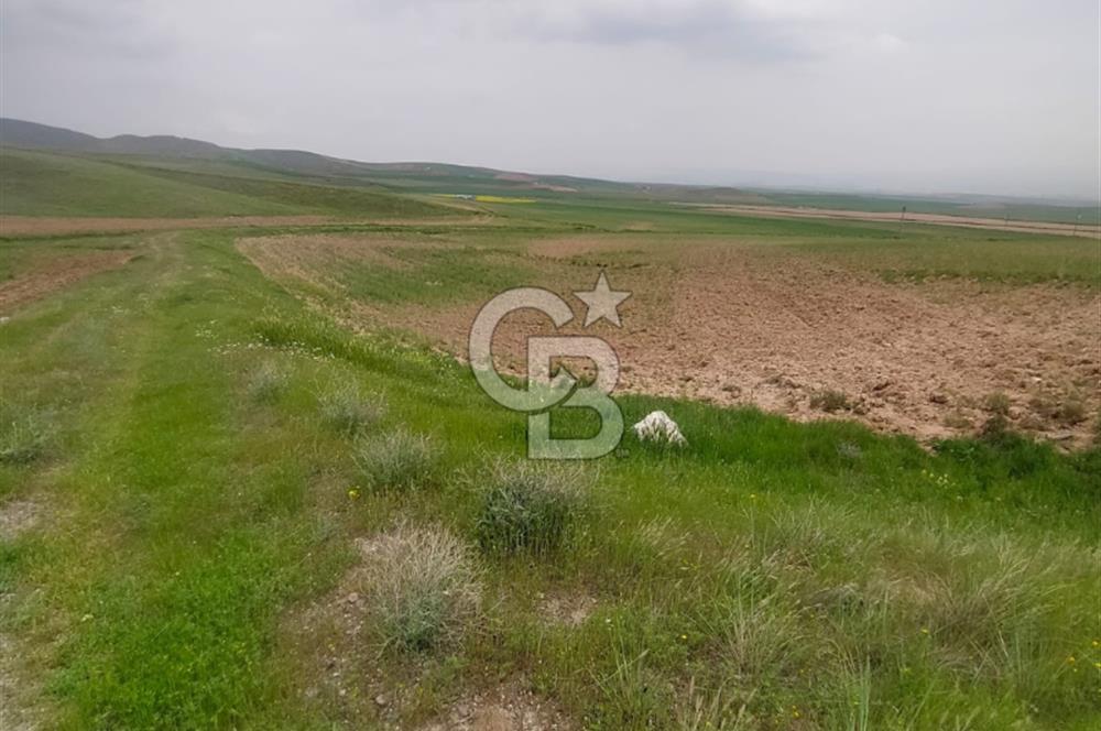 Polatlı Gedikli 6 Dönüm Villa Arsası 4 Villa İzni Altyapı Var
