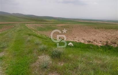 Polatlı Gedikli 6 Dönüm Villa Arsası 4 Villa İzni Altyapı Var