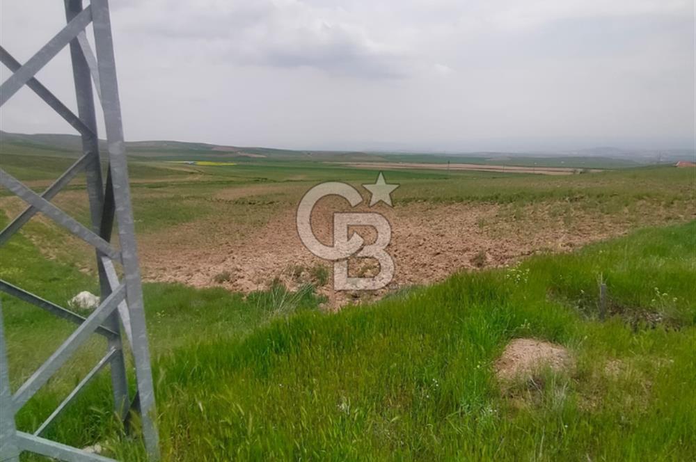 Polatlı Gedikli 6 Dönüm Villa Arsası 4 Villa İzni Altyapı Var
