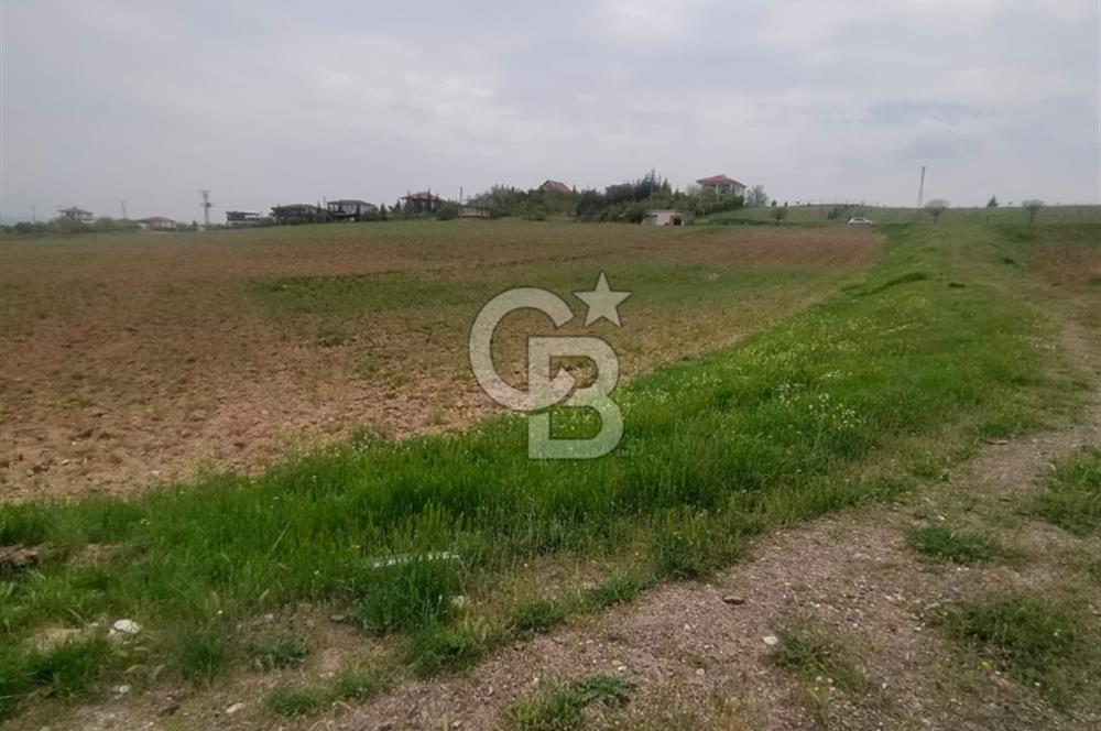 Polatlı Gedikli 6 Dönüm Villa Arsası 4 Villa İzni Altyapı Var