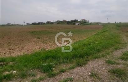 Polatlı Gedikli 6 Dönüm Villa Arsası 4 Villa İzni Altyapı Var