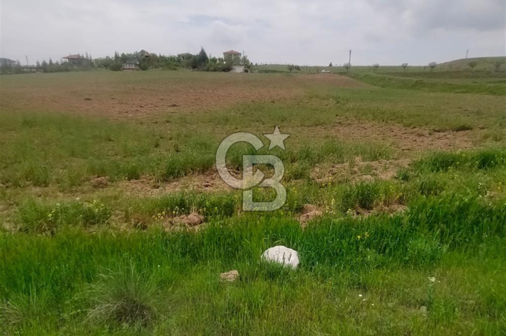 Polatlı Gedikli 6 Dönüm Villa Arsası 4 Villa İzni Altyapı Var