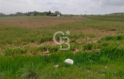 Polatlı Gedikli 6 Dönüm Villa Arsası 4 Villa İzni Altyapı Var