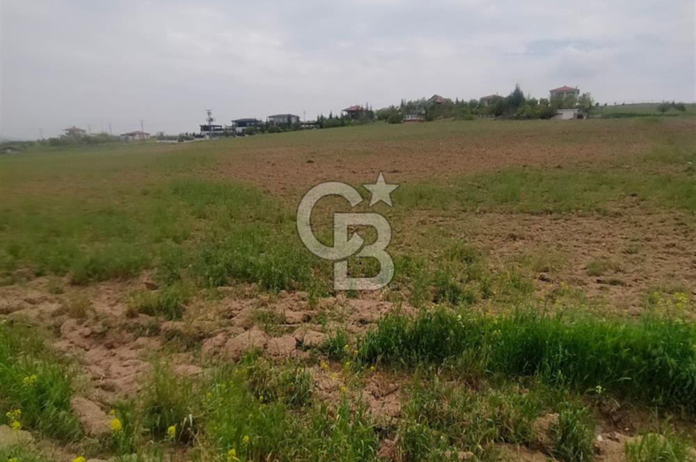 Polatlı Gedikli 6 Dönüm Villa Arsası 4 Villa İzni Altyapı Var