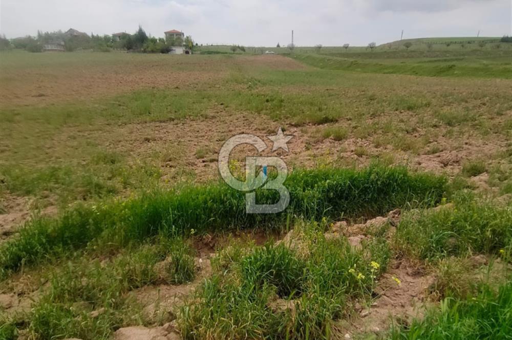 Polatlı Gedikli 6 Dönüm Villa Arsası 4 Villa İzni Altyapı Var