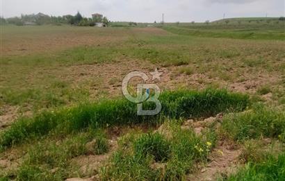 Polatlı Gedikli 6 Dönüm Villa Arsası 4 Villa İzni Altyapı Var