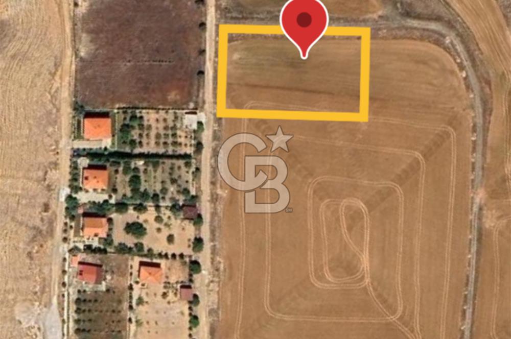 Polatlı Gedikli 6 Dönüm Villa Arsası 4 Villa İzni Altyapı Var