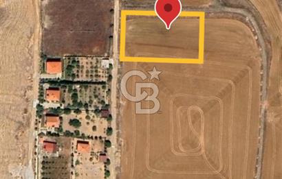 Polatlı Gedikli 6 Dönüm Villa Arsası 4 Villa İzni Altyapı Var