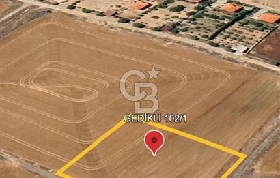 Polatlı Gedikli 6 Dönüm Villa Arsası 4 Villa İzni Altyapı Var