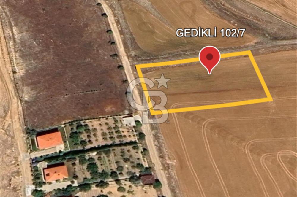 Polatlı Gedikli 6 Dönüm Villa Arsası 4 Villa İzni Altyapı Var
