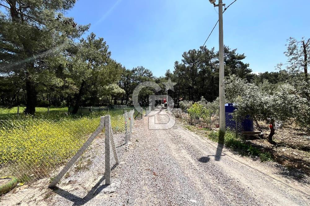 Bornova Yakaköy’de Mesire Alanı Karşısı | Etrafı Çevrili Konum