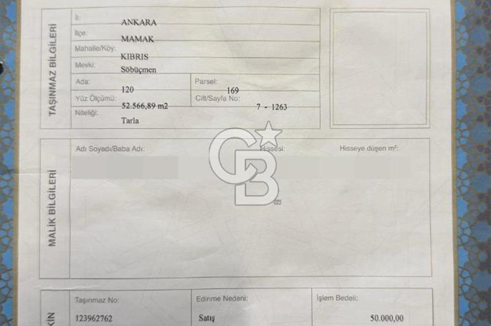KIBRIS KÖYÜ ESKİ 1274 PARSEL'DE ASFALT YOLA CEPHE SATILIK TARLA