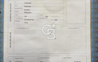 KIBRIS KÖYÜ ESKİ 1274 PARSEL'DE ASFALT YOLA CEPHE SATILIK TARLA