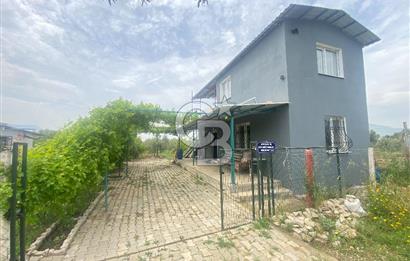 İZMİR KEMALPAŞA ARMUTLU 85.YIL CUMHURİYET MH SATILIK ZEYTİNLİK VE BAĞ EVİ CB-PH
