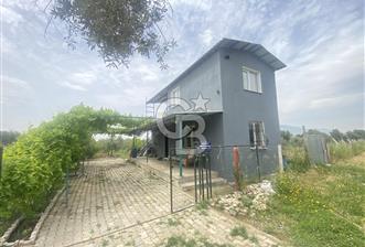 İZMİR KEMALPAŞA ARMUTLU 85.YIL CUMHURİYET MH SATILIK ZEYTİNLİK VE BAĞ EVİ CB-PH - 7 - 348883
