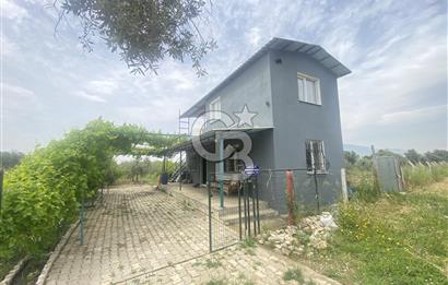 İZMİR KEMALPAŞA ARMUTLU 85.YIL CUMHURİYET MH SATILIK ZEYTİNLİK VE BAĞ EVİ CB-PH