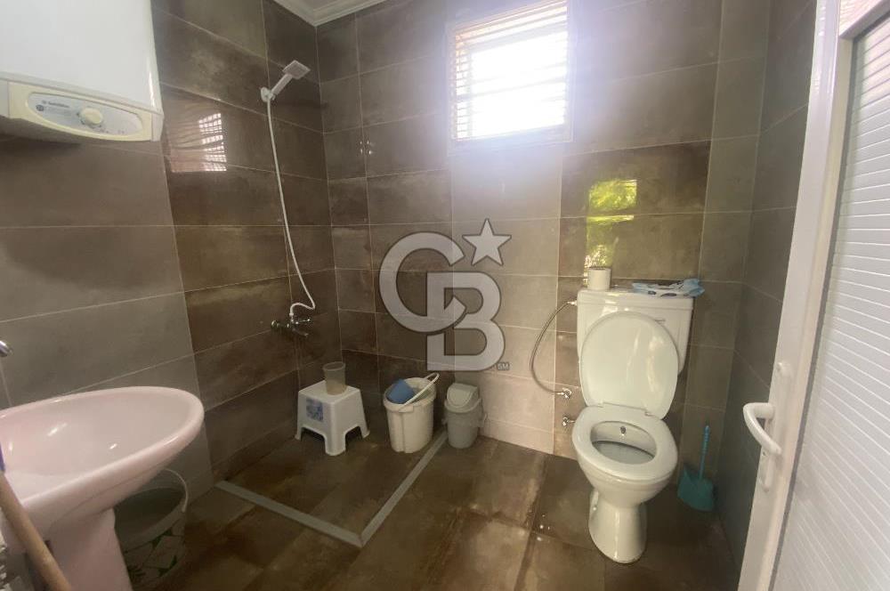 İZMİR KEMALPAŞA ARMUTLU 85.YIL CUMHURİYET MH SATILIK ZEYTİNLİK VE BAĞ EVİ CB-PH