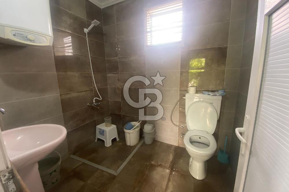 İZMİR KEMALPAŞA ARMUTLU 85.YIL CUMHURİYET MH SATILIK ZEYTİNLİK VE BAĞ EVİ CB-PH